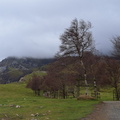 Gorbeia (233)